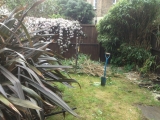 Garden makeover returf before